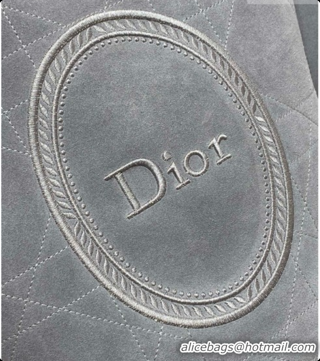 Luxury Dior Jett Médaillon Bucket Bag in Cannage Suede Calfskin Grey 2026 6090436