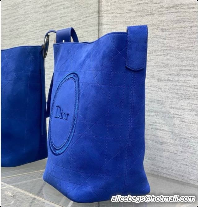 New Design Dior Jett Médaillon Bucket Bag in Cannage Suede Calfskin Blue 2026 6090440
