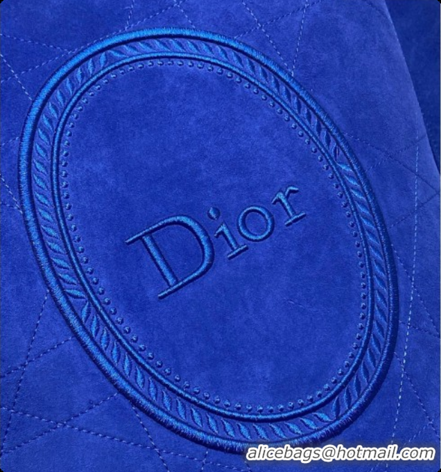 New Design Dior Jett Médaillon Bucket Bag in Cannage Suede Calfskin Blue 2026 6090440
