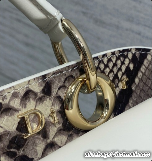 Affordable Price Dior Small Cigale Bag in White Smooth Calfskin D090442 2026