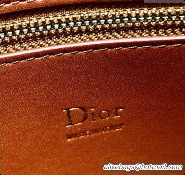 Top Quality Dior Small Cigale Bag in Crocodile Pattern Calfskin D090444 Brown 2026