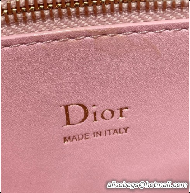 Cute Dior Small Cigale Bag in SnakeskinPattern Calfskin D090447 Pink 2026
