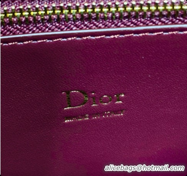New Style Dior Small Cigale Bag in SnakeskinPattern Calfskin D090448 Burgundy 2026
