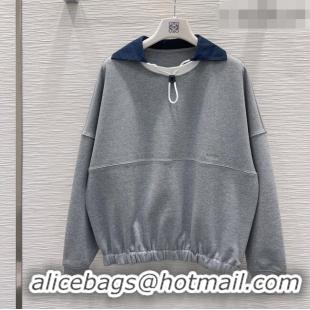 Good Taste Loewe Cotton Sweatshirt L093045 Grey 2026