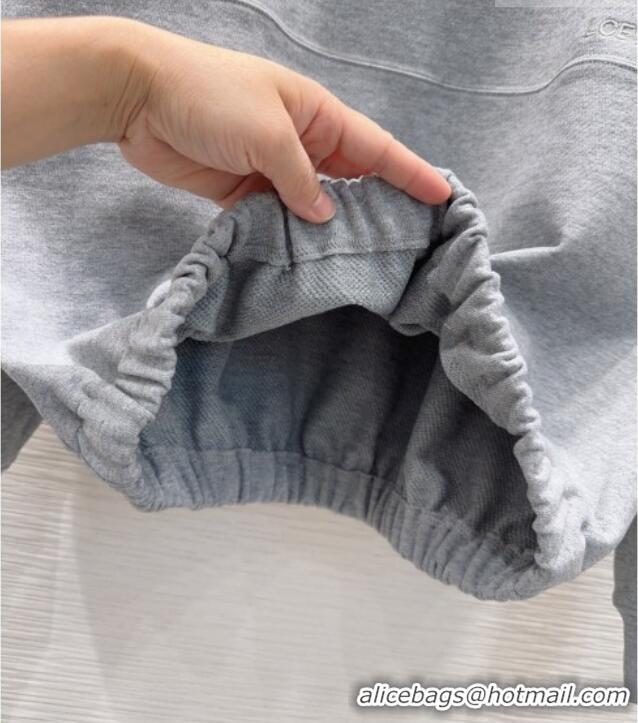 Good Taste Loewe Cotton Sweatshirt L093045 Grey 2026