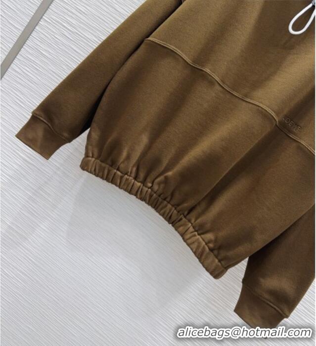 Inexpensive Loewe Cotton Sweatshirt L093046 Brown 2026