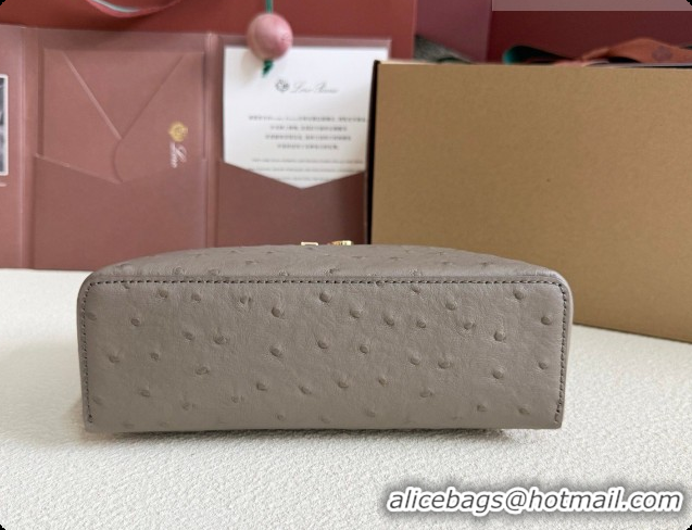 Imitation Loro Piana LP Extra Pocket Pouch L19 in Ostrich Embossed Leather Taupe/Gold 2026 FAI8393