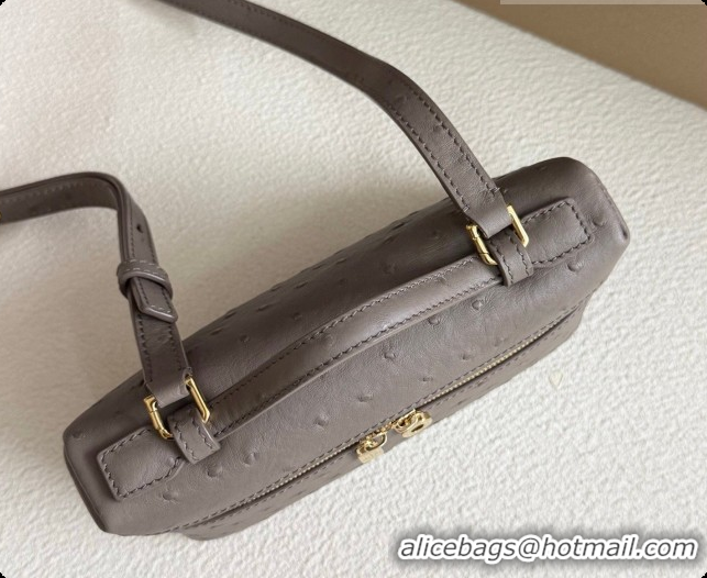 Imitation Loro Piana LP Extra Pocket Pouch L19 in Ostrich Embossed Leather Taupe/Gold 2026 FAI8393