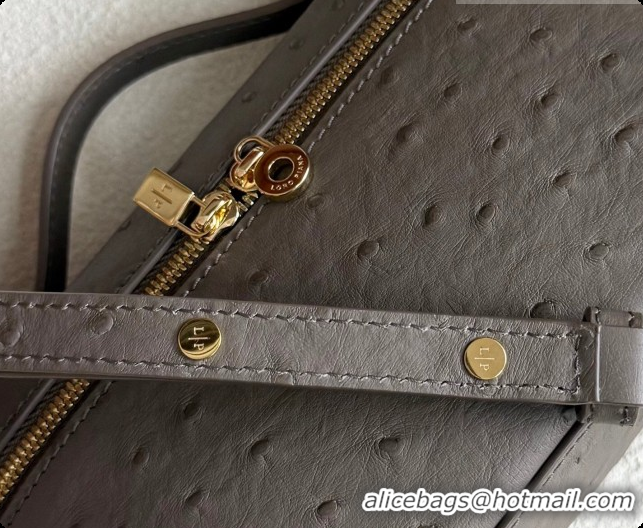 Imitation Loro Piana LP Extra Pocket Pouch L19 in Ostrich Embossed Leather Taupe/Gold 2026 FAI8393