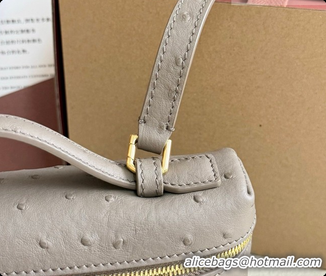 Imitation Loro Piana LP Extra Pocket Pouch L19 in Ostrich Embossed Leather Taupe/Gold 2026 FAI8393