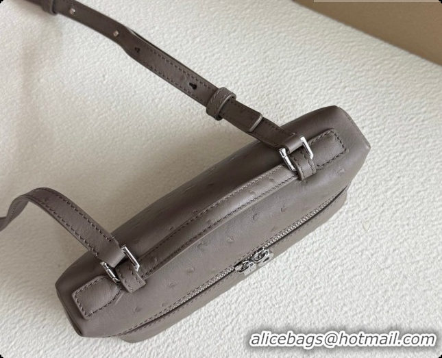 Low Cost Loro Piana LP Extra Pocket Pouch L19 in Ostrich Embossed Leather Taupe/Silver 2026 FAI8393