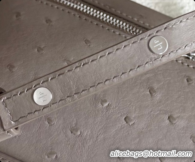Low Cost Loro Piana LP Extra Pocket Pouch L19 in Ostrich Embossed Leather Taupe/Silver 2026 FAI8393