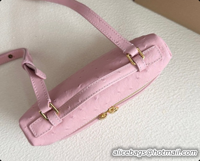 Pretty Style Loro Piana LP Extra Pocket Pouch L19 in Ostrich Embossed Leather Sakura/Gold 2026 FAI8393