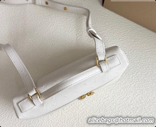 New Style Loro Piana LP Extra Pocket Pouch L19 in Ostrich Embossed Leather White/Gold 2026 FAI8393
