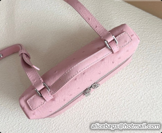 Good Quality Loro Piana LP Extra Pocket Pouch L19 in Ostrich Embossed Leather Sakura/Silver 2026 FAI8393
