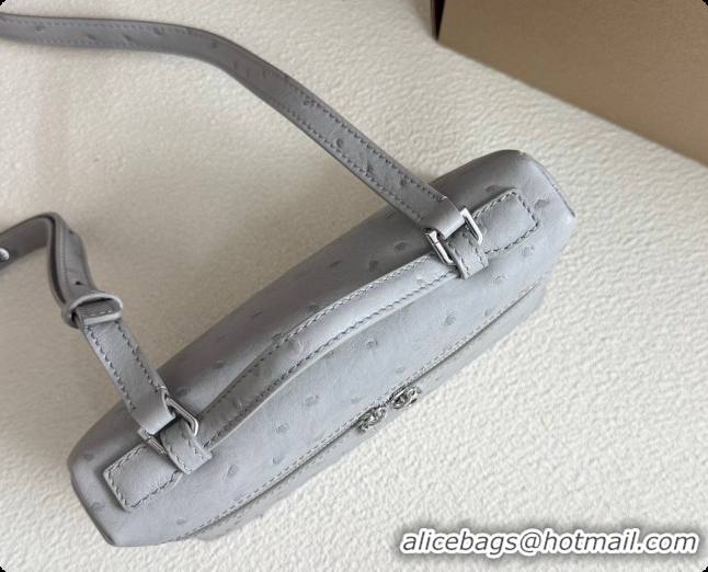 New Design Loro Piana LP Extra Pocket Pouch L19 in Ostrich Embossed Leather Eucalyptus/Silver 2026 FAI8393