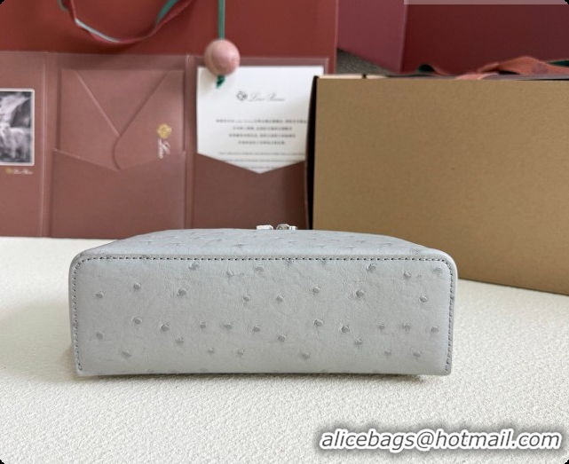 New Design Loro Piana LP Extra Pocket Pouch L19 in Ostrich Embossed Leather Eucalyptus/Silver 2026 FAI8393