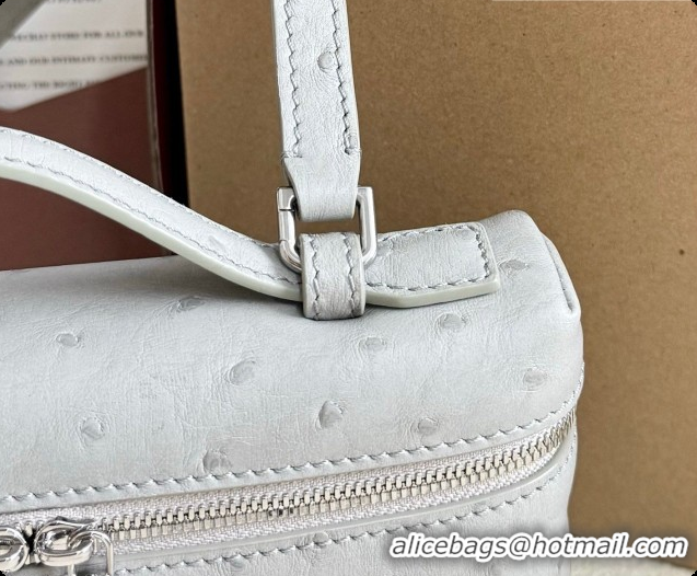 New Design Loro Piana LP Extra Pocket Pouch L19 in Ostrich Embossed Leather Eucalyptus/Silver 2026 FAI8393