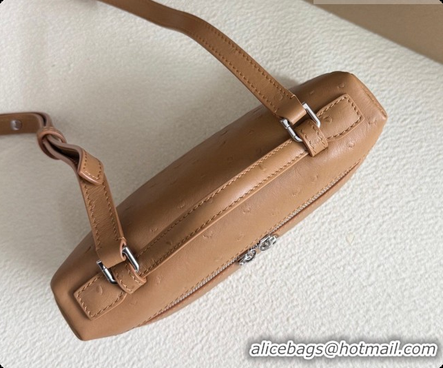 Discount Loro Piana LP Extra Pocket Pouch L19 in Ostrich Embossed Leather Brown/Silver 2026 FAI8393