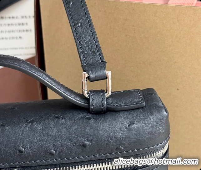Good Product Loro Piana LP Extra Pocket Pouch L19 in Ostrich Embossed Leather Black/Silver 2026 FAI8393