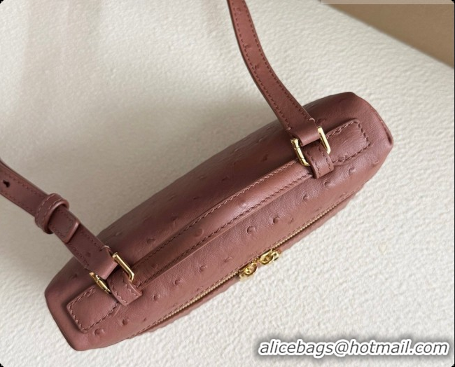Shop Duplicate Loro Piana LP Extra Pocket Pouch L19 in Ostrich Embossed Leather Red Brick/Gold 2026 FAI8393