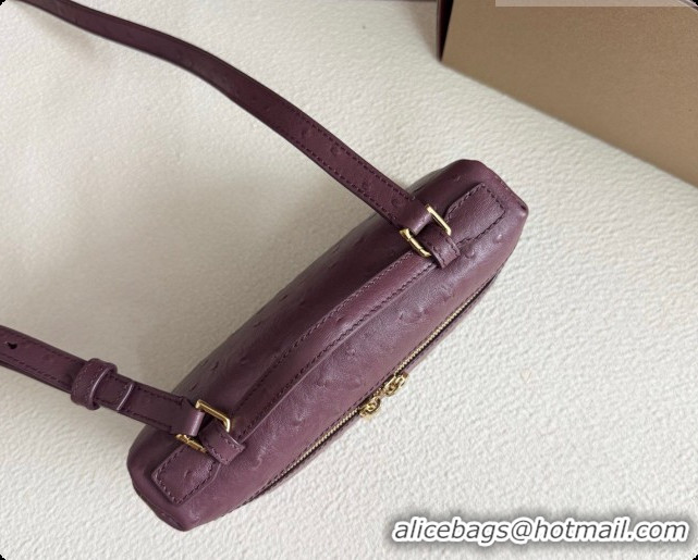 New Fashion Loro Piana LP Extra Pocket Pouch L19 in Ostrich Embossed Leather Burgundy/Gold 2026 FAI8393