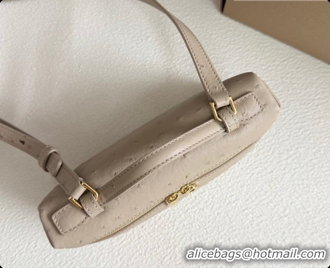 Classic Loro Piana LP Extra Pocket Pouch L19 in Ostrich Embossed Leather Apricot/Gold 2026 FAI8393