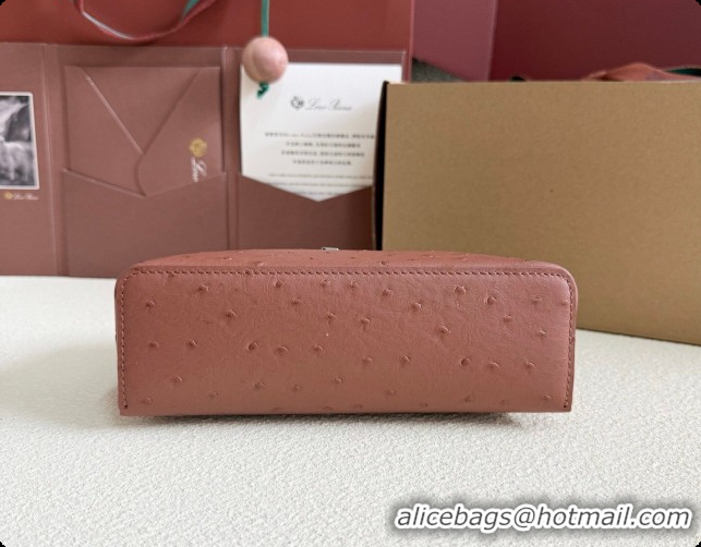 Expensive Loro Piana LP Extra Pocket Pouch L19 in Ostrich Embossed Leather Red Brick/Silver 2026 FAI8393