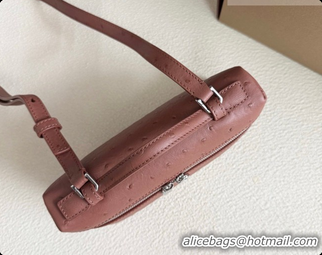 Expensive Loro Piana LP Extra Pocket Pouch L19 in Ostrich Embossed Leather Red Brick/Silver 2026 FAI8393