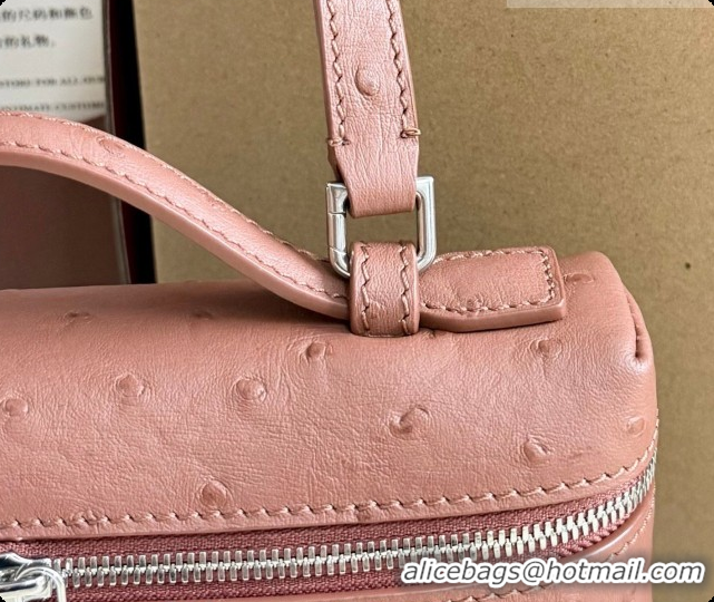Expensive Loro Piana LP Extra Pocket Pouch L19 in Ostrich Embossed Leather Red Brick/Silver 2026 FAI8393