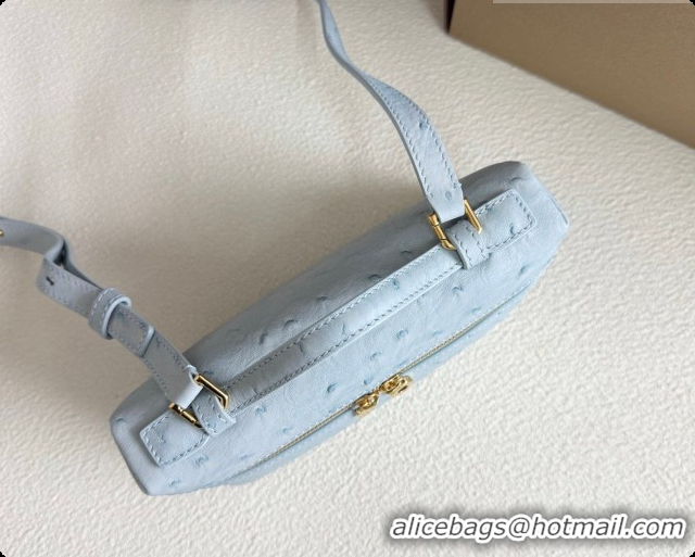 Discount Loro Piana LP Extra Pocket Pouch L19 in Ostrich Embossed Leather Light Blue/Gold 2026 FAI8393