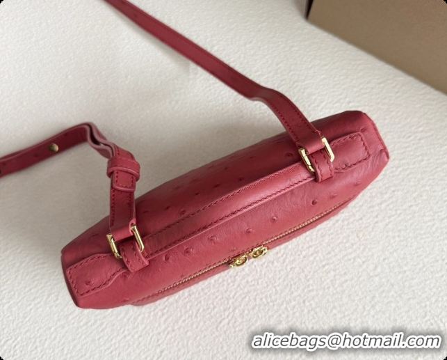 Good Looking Loro Piana LP Extra Pocket Pouch L19 in Ostrich Embossed Leather Red/Gold 2026 FAI8393