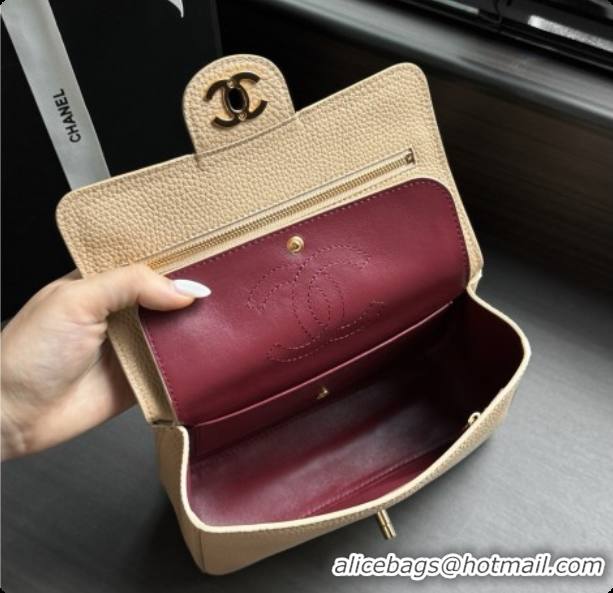 Good Quality Chanel Mini Flap Bag in Grained Calfskin AS6573 Beige/Gold 2026
