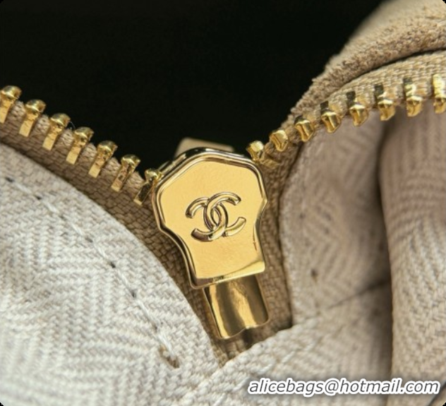 Top Design Chanel Camera Case Should Bag in Suede Calfskin AS6443 Beige 2026