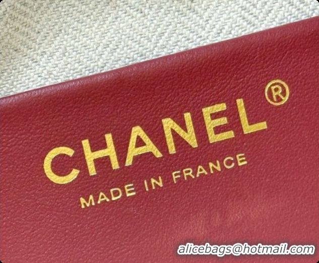 Best Imitation Chanel Camera Case Should Bag in Suede Calfskin AS6443 Beige 2026