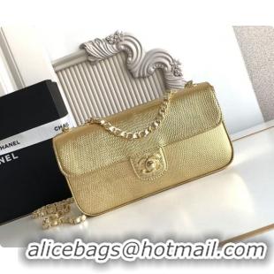 Hot Style Chanel Small Flap Bag in Lizard Pattern Leather AS6430 Gold 2026