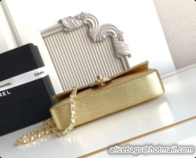 Hot Style Chanel Small Flap Bag in Lizard Pattern Leather AS6430 Gold 2026