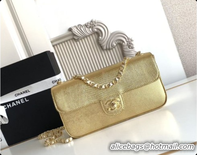 Hot Style Chanel Small Flap Bag in Lizard Pattern Leather AS6430 Gold 2026