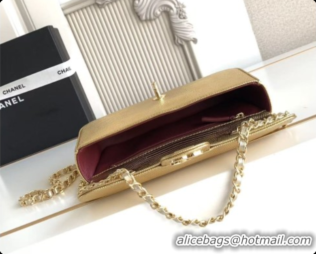 Hot Style Chanel Small Flap Bag in Lizard Pattern Leather AS6430 Gold 2026