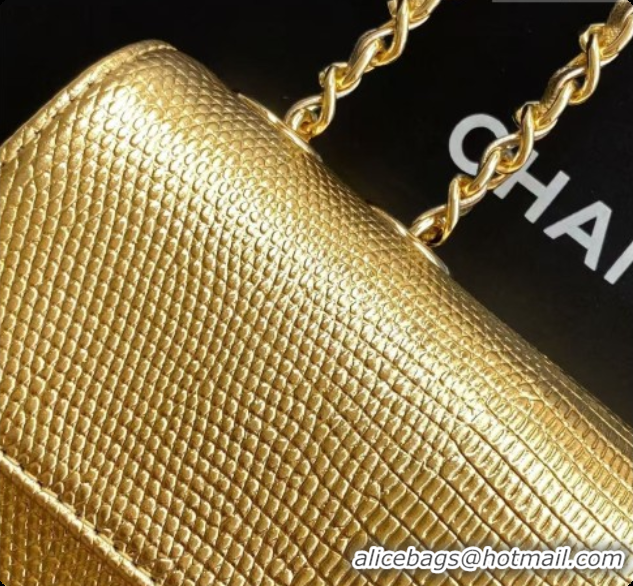 Hot Style Chanel Small Flap Bag in Lizard Pattern Leather AS6430 Gold 2026