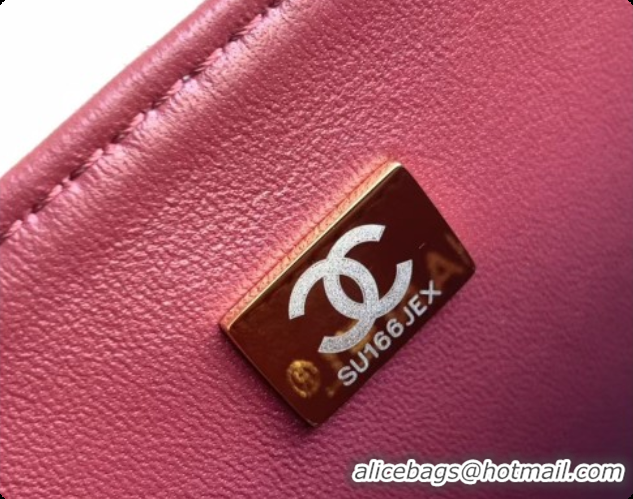Sophisticated Chanel Flap Bag in Lizard Pattern Leather AS6568 Silver 2026