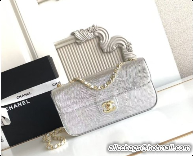 2026 Newest Chanel Small Flap Bag in Lizard Pattern Leather AS6430 Silver 2026