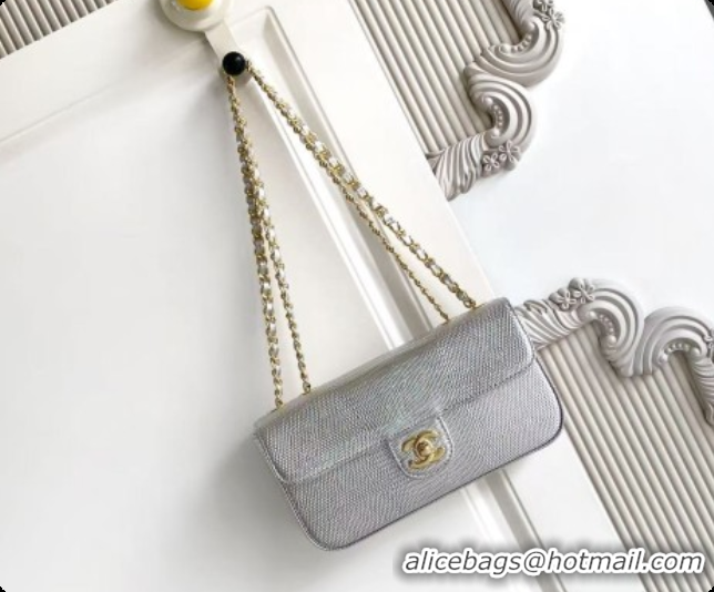 2026 Newest Chanel Small Flap Bag in Lizard Pattern Leather AS6430 Silver 2026
