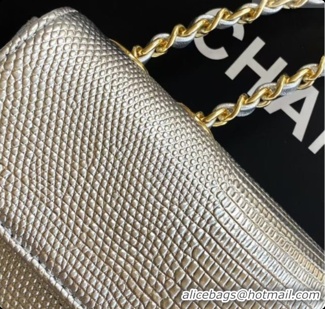 2026 Newest Chanel Small Flap Bag in Lizard Pattern Leather AS6430 Silver 2026