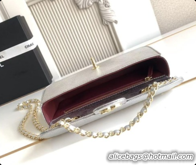 2026 Newest Chanel Small Flap Bag in Lizard Pattern Leather AS6430 Silver 2026
