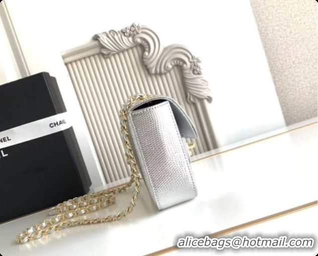 2026 Newest Chanel Small Flap Bag in Lizard Pattern Leather AS6430 Silver 2026
