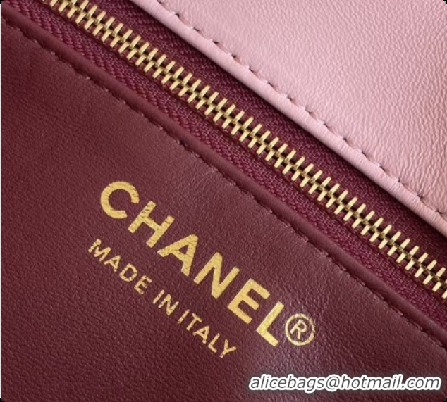 Good Looking Chanel Small Flap Bag in Lambskin AS6430 Pink 2026