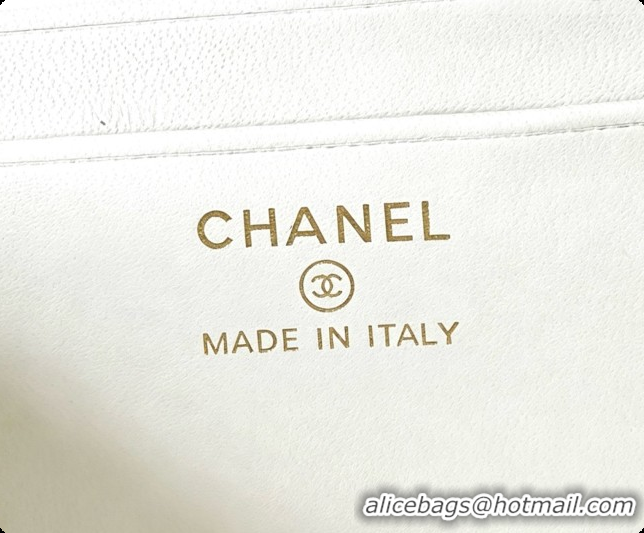 Pretty Style Chanel Mini Vanity with Chain in Quilted Grained Calfskin CH100816 White 2026