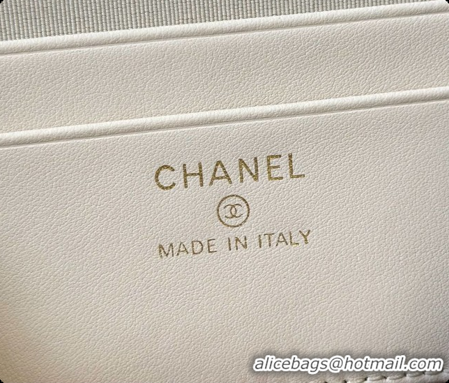 Best Price Chanel Vanity with Chain in Quilted Grained Calfskin CH100809 Beige 2026