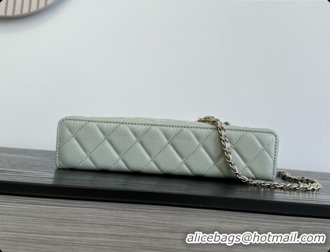Most Popular Chanel Vanity with Chain in Quilted Grained Calfskin CH100810 Grey 2026